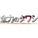 全力のタワシ (Full Power of TAWASHI)