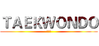 ＴＡＥＫＷＯＮＤＯ (跆拳道)