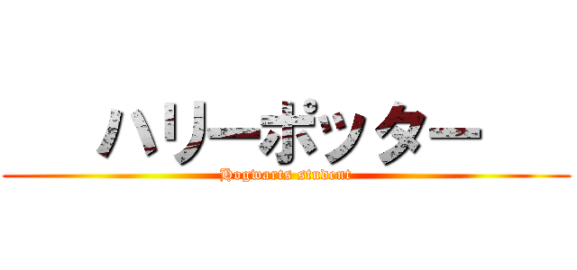    ハリーポッター    (Hogwarts student)