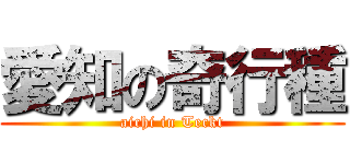 愛知の奇行種 (aichi in Teckt)