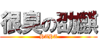 很臭の劭麒 (HAHA)