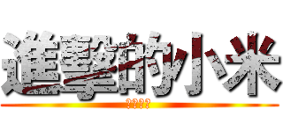 進擊的小米 (生活點滴)