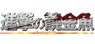 進撃の饒金魚 (Gold Fish )