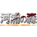 河浦の森 (kawaura   forest)