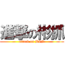 進撃の彬抓 (attack on BIN)