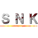 Ｓ Ｎ Ｋ (company)