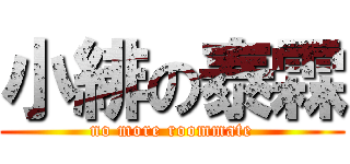 小緋の泰霖 (no more roommate)