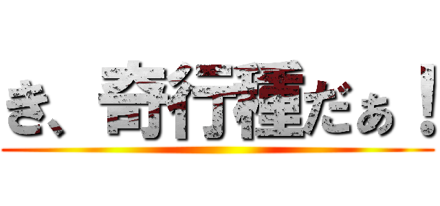 き、奇行種だぁ！ ()