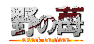 野の苺 (attack on titan)