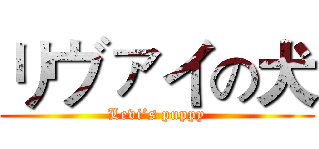 リヴァイの犬 (Levi’s puppy)