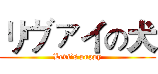 リヴァイの犬 (Levi’s puppy)