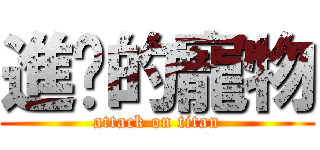進擊的寵物 (attack on titan)