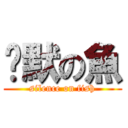 沉默の魚 (silence on fish)