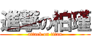 進撃の柏瑾 (attack on titan)