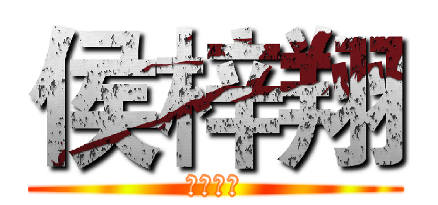 侯梓翔 (初一二班)