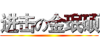 进击の金珉硕 ( )