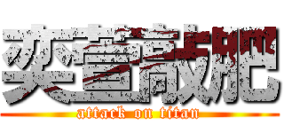 奕萱敲肥 (attack on titan)