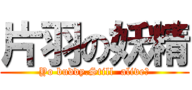 片羽の妖精 (Yo buddy.Still  alive?)