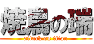 焼鳥の瑞 (attack on titan)