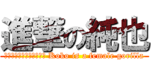 進撃の純也 (ココは雌のゴリラである。 Koko is a female gorilla)