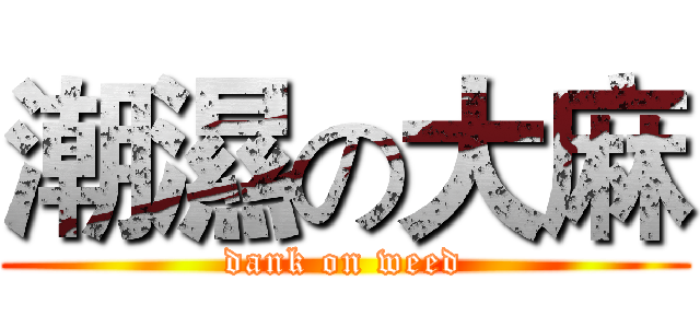潮濕の大麻 (dank on weed)