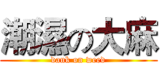 潮濕の大麻 (dank on weed)