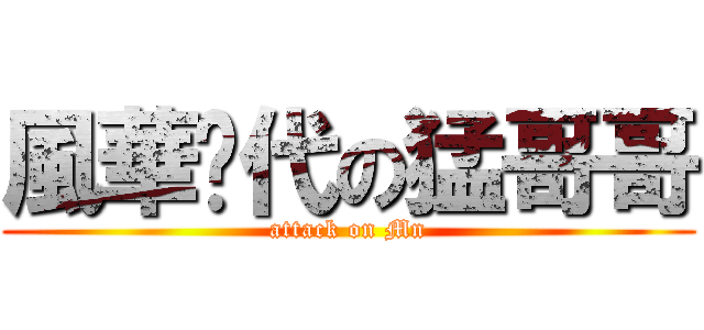 風華绝代の猛哥哥 (attack on Mn)
