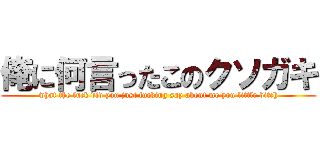 俺に何言ったこのクソガキ (what the fuck did you just fucking say about me you little bitch)