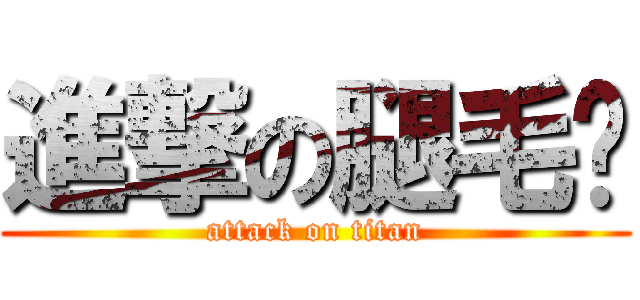 進撃の腿毛瑄 (attack on titan)