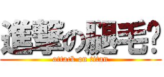進撃の腿毛瑄 (attack on titan)