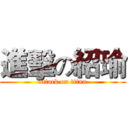 進擊の紹瑜 (attack on titan)