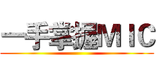 一手掌握ＭＩＣ ()