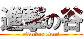 進撃の谷 (attack on tani)