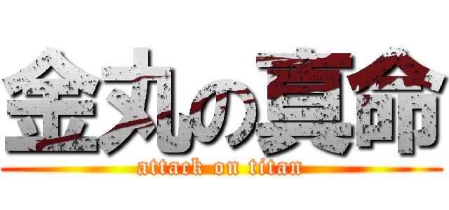 金丸の真命 (attack on titan)