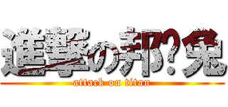 進撃の邦妮兔 (attack on titan)