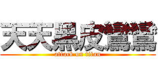 天天黑皮鸞鸞 (attack on titan)