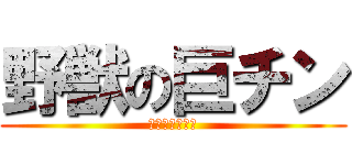 野獣の巨チン (真夏の夜の淫夢)