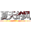 夏天的风 (夏天的风)