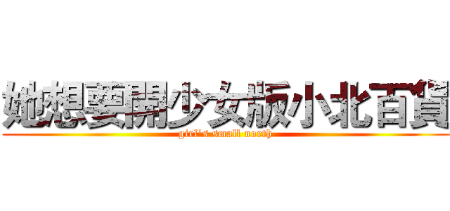 她想要開少女版小北百貨 (girl's small north)