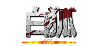 白狐 (實況台)