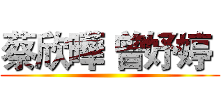 蔡欣曄 曾妤婷  ()