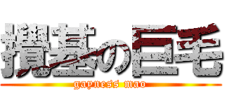 攪基の巨毛 (gayness mao)