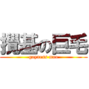 攪基の巨毛 (gayness mao)