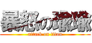 暴怒の瑜瑜 (attack on titan)