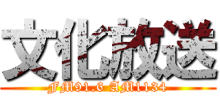 文化放送 (FM91.6 AM1134)