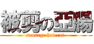 被剪の亞腸 (sausage had cut )