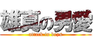 雄真の男愛 (attack in boys)