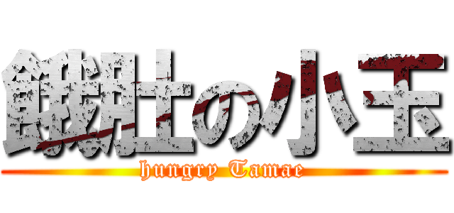 餓肚の小玉 (hungry Tamae)