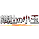 餓肚の小玉 (hungry Tamae)