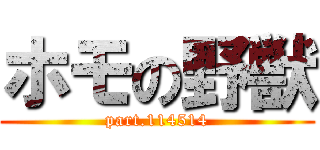 ホモの野獣 (part.114514)